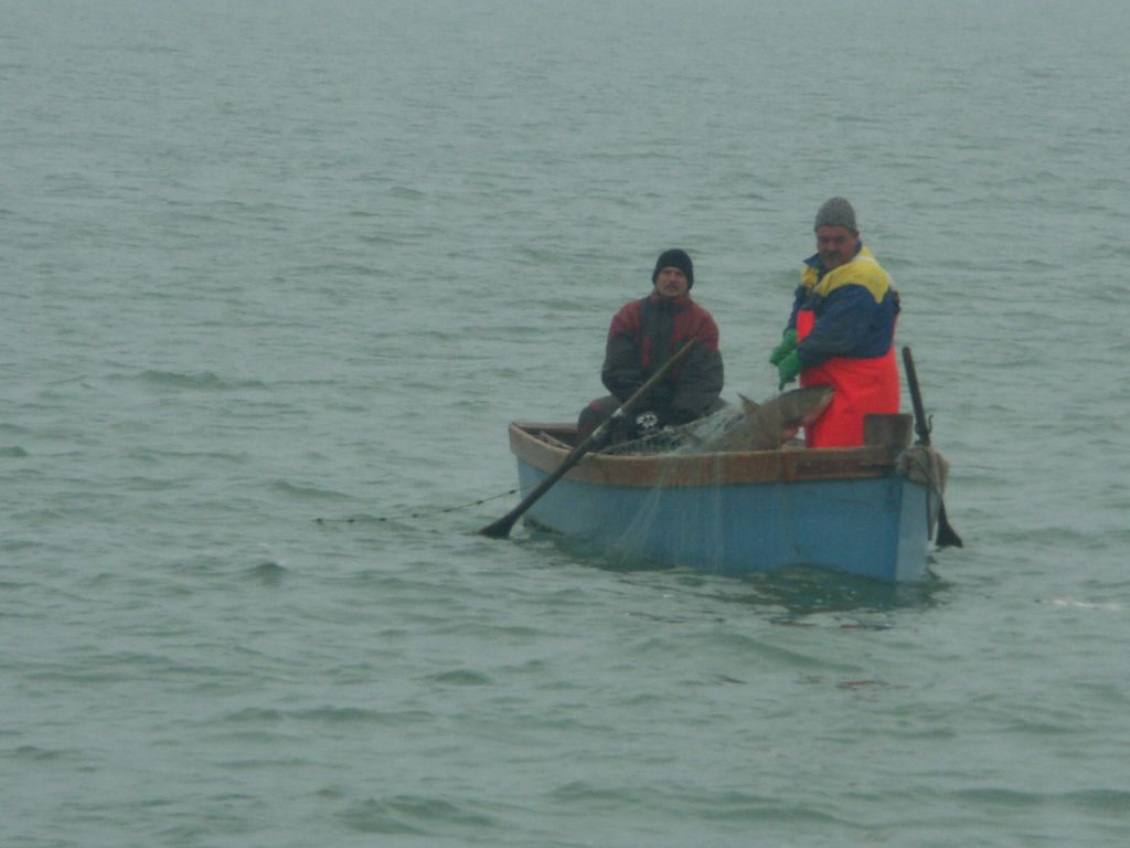 Öreg halász és az operatőr